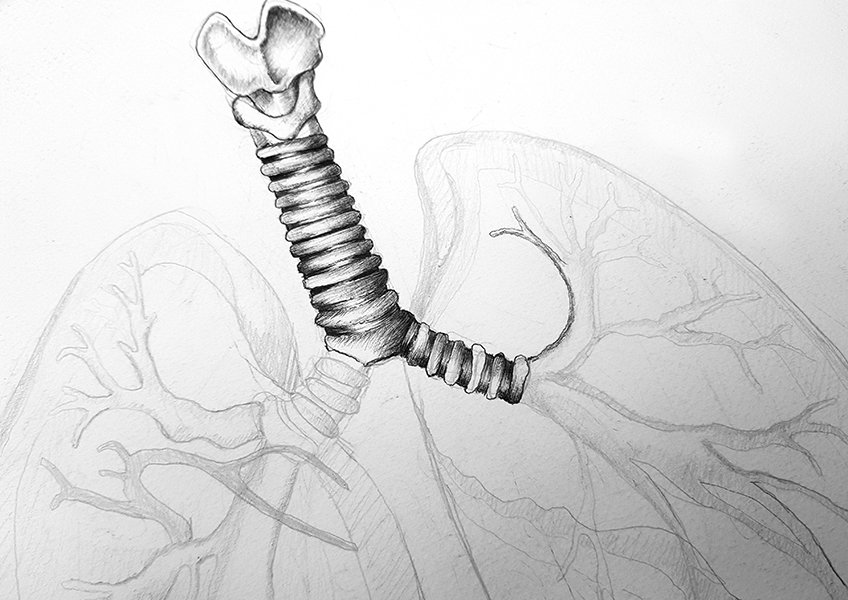 lungs sketch 15