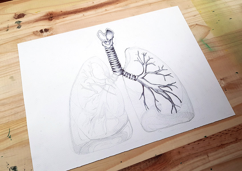 lungs sketch 18