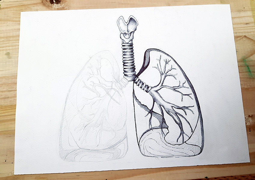 lungs sketch 21
