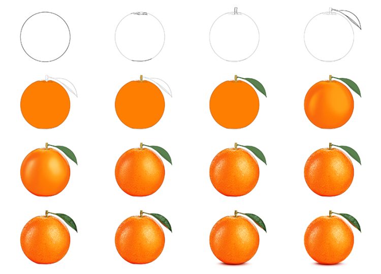 How to Draw an Orange A Juicy and Realistic Orange Drawing Tutorial