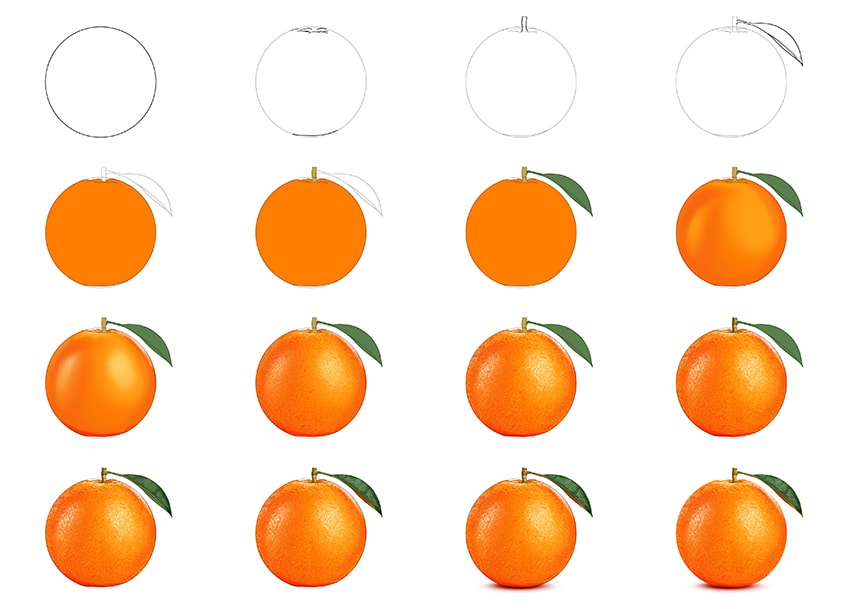 orange fruit drawing