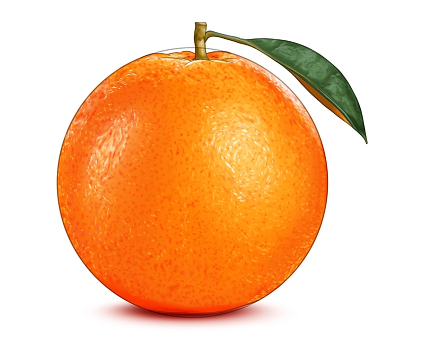 realistic orange drawing