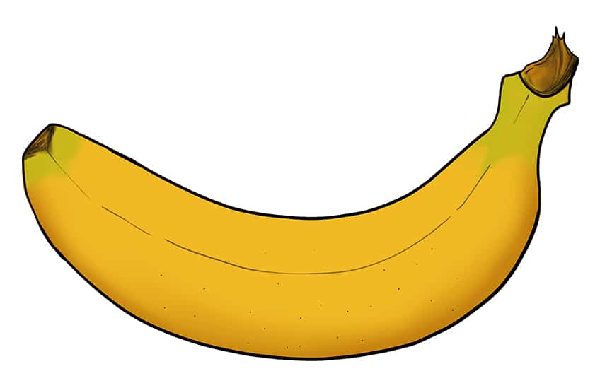 Banana Drawing 11