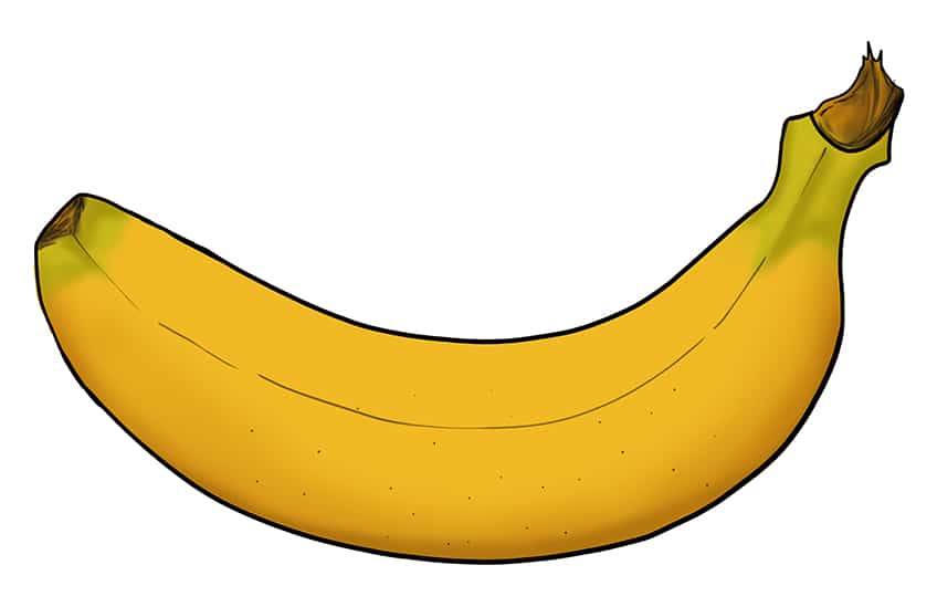 Banana Drawing 12