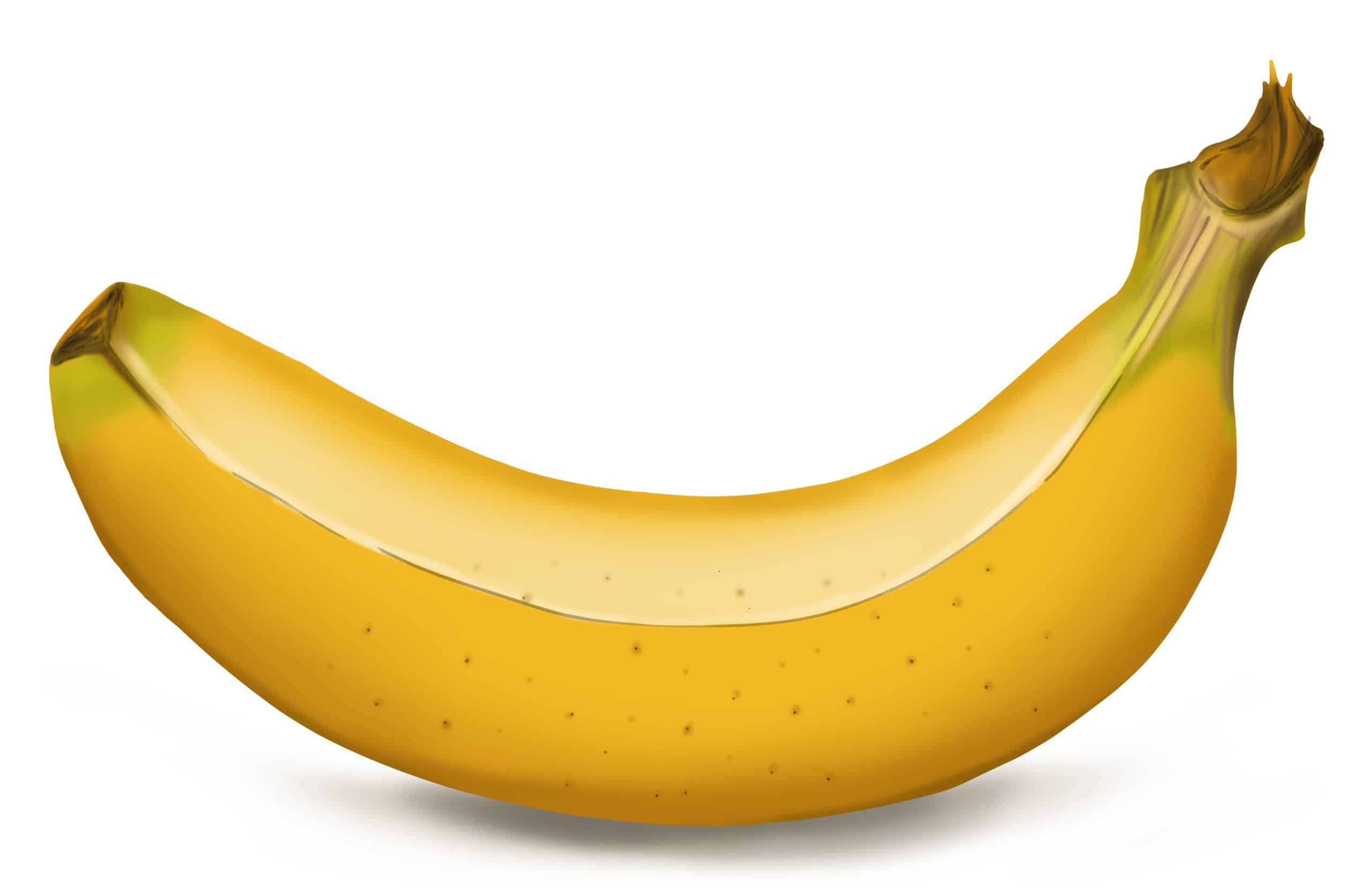 Banana Drawing 17