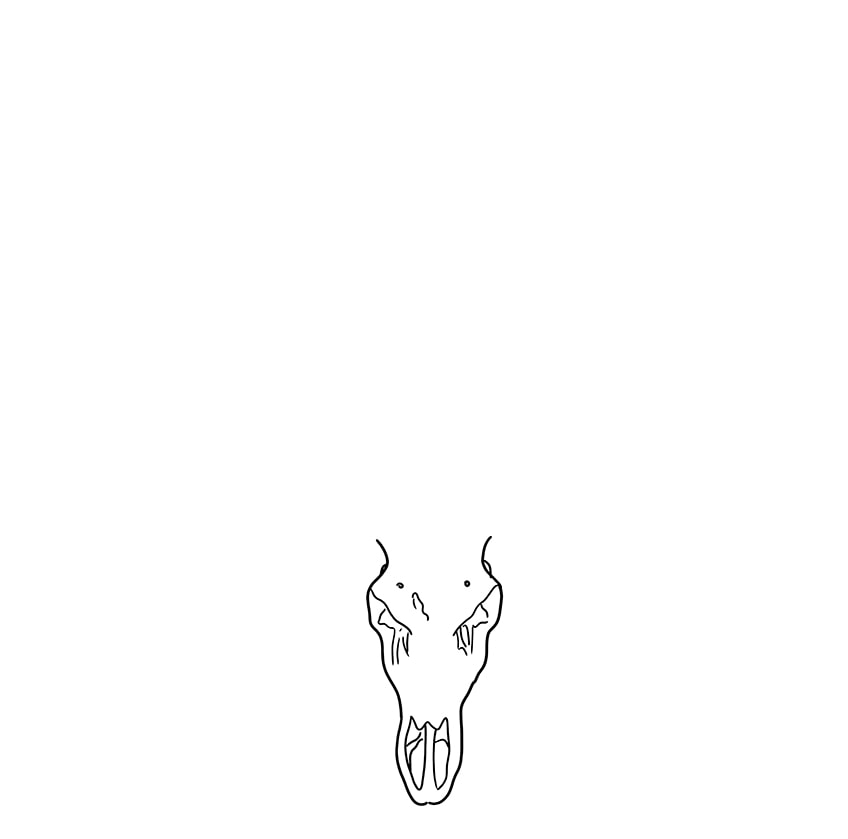 Deer Skull Drawing 1