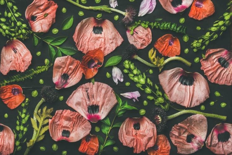 What Colors Go With Pink? Best Colors That Complement Pink