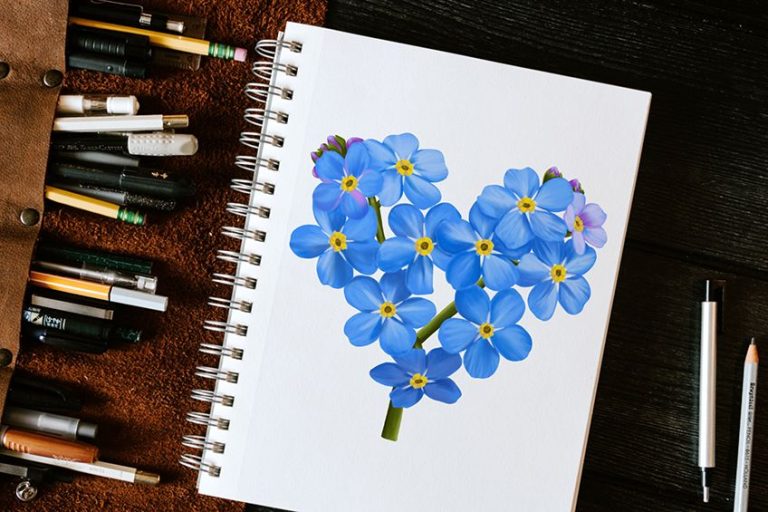 How to Draw a Forget-Me-Not Flower – Real Forget-Me-Not Sketch