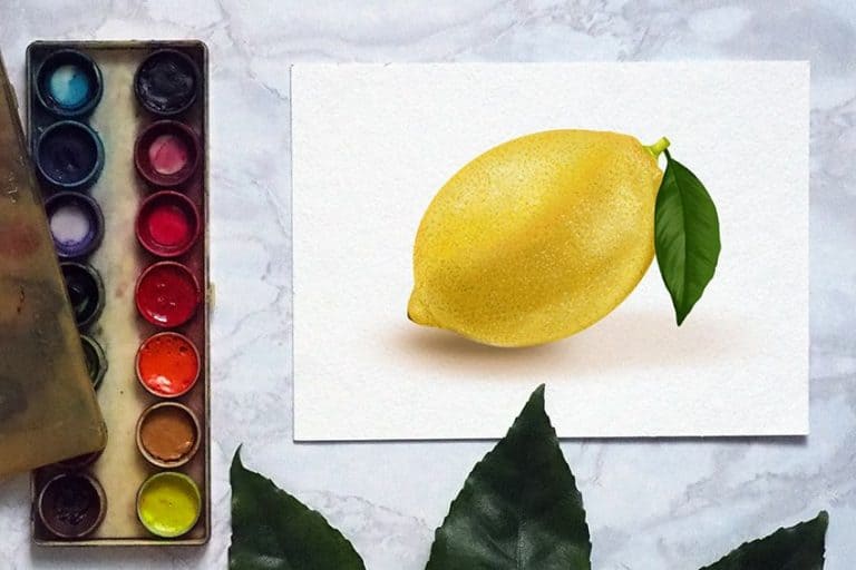 How to Draw a Lemon – Easy Citrus Drawing Guide