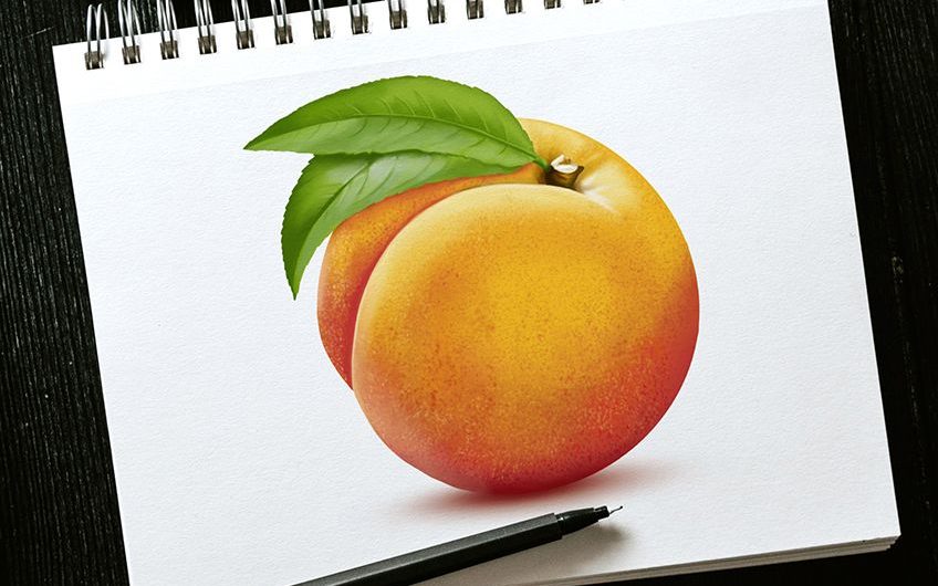 How to Draw a Peach An Easy StepbyStep Peach Illustration Tutorial