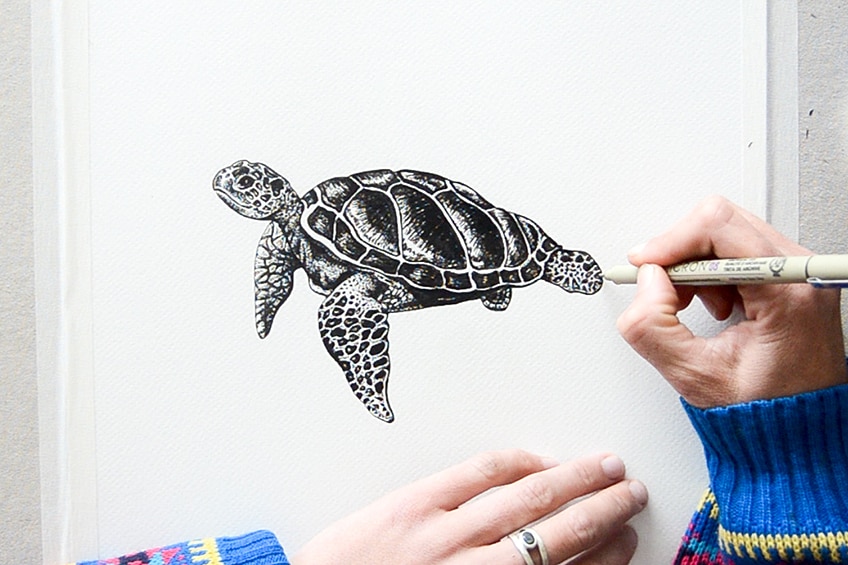 6 Illustration of Sea Turtle with Pencil Graphic by Arief Sapta Adjie ·  Creative Fabrica
