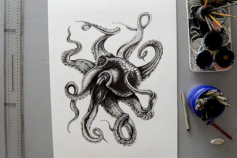 How to Draw an Octopus – A Guide to Creating an Octopus Sketch
