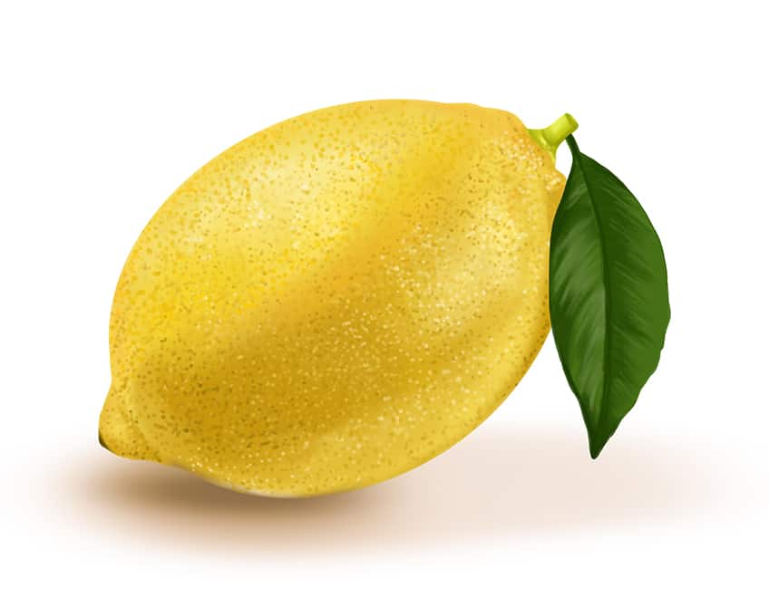 Lemon Drawing 13