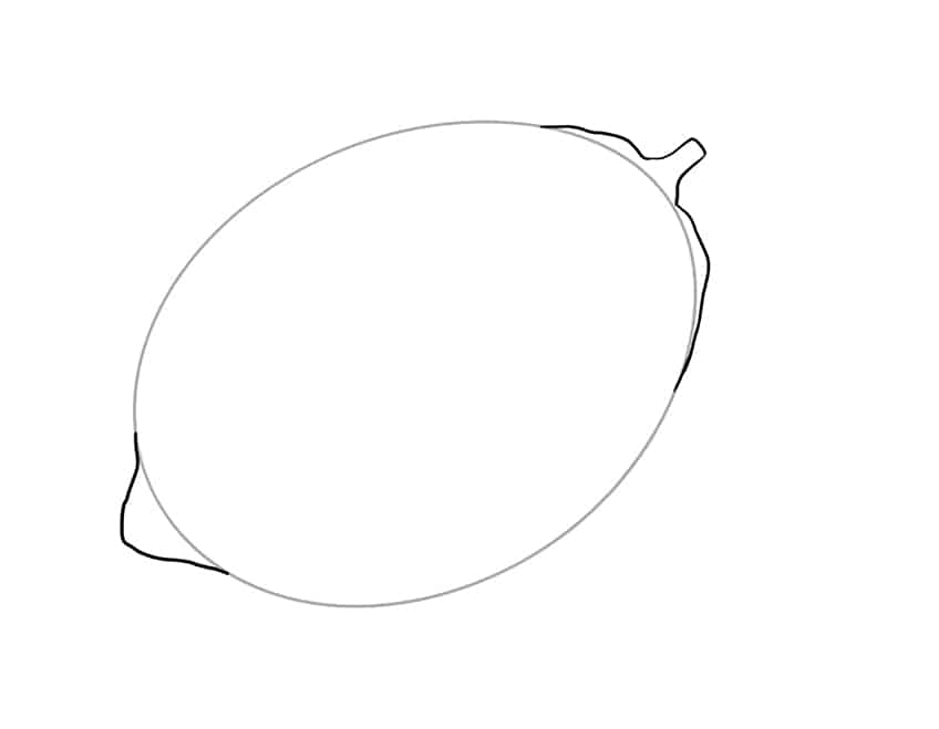 Lemon Drawing 2