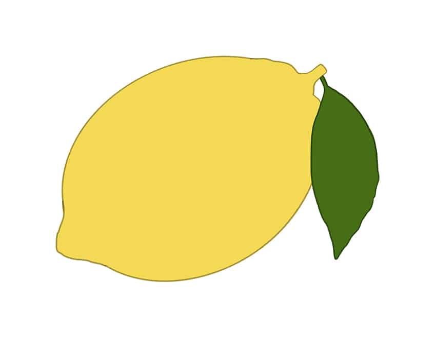 Lemon Drawing 5