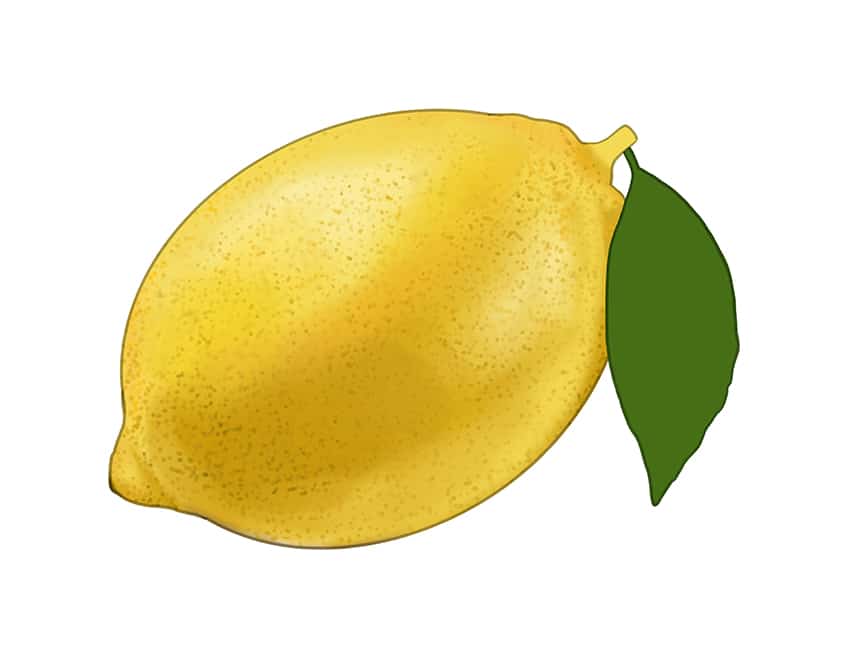 Lemon Drawing: Easy, Simple, Step By Step and Slice