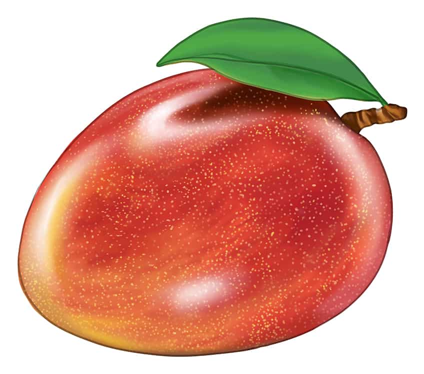 How to Draw a Mango - An Easy Mango Drawing Tutorial for Beginners