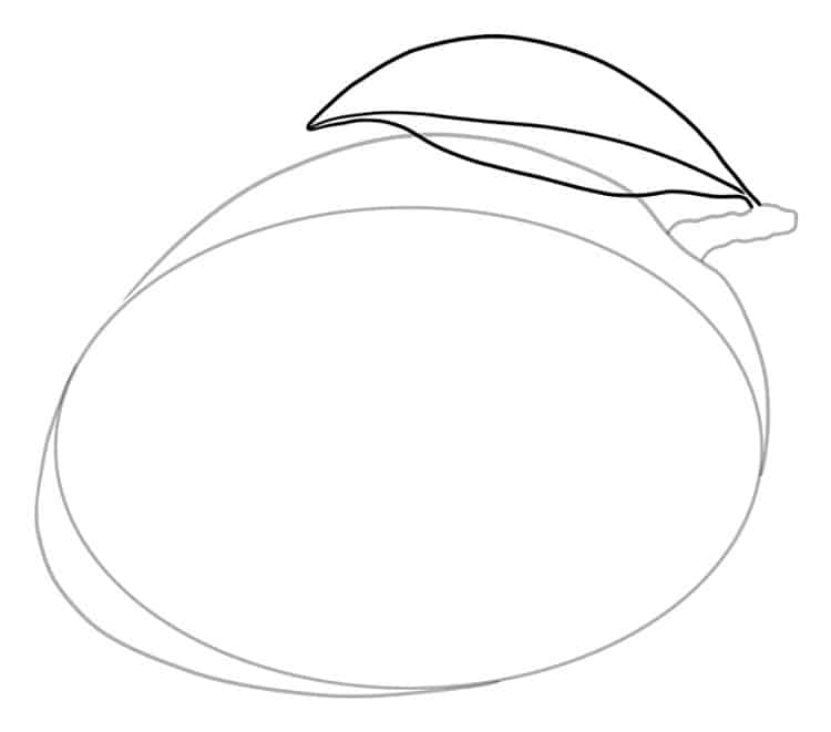 How to Draw a Mango An Easy Mango Drawing Tutorial for Beginners