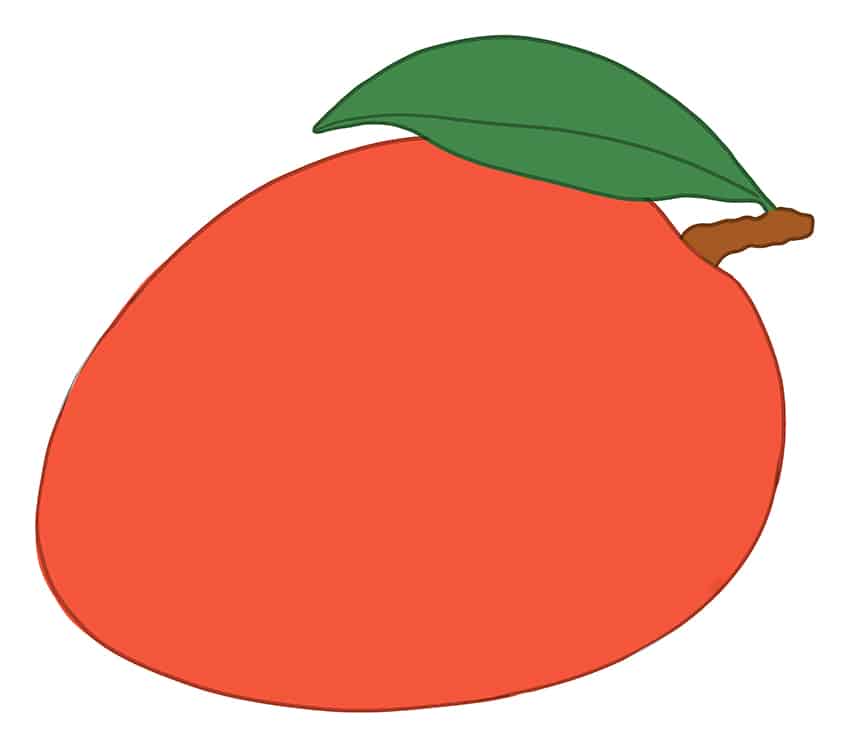 Mango Drawing 7