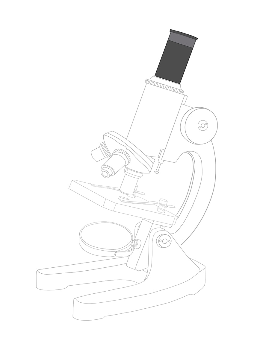 Microscope drawing 8