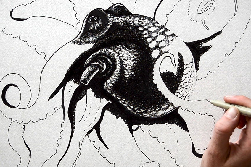 Octopus Drawing 10