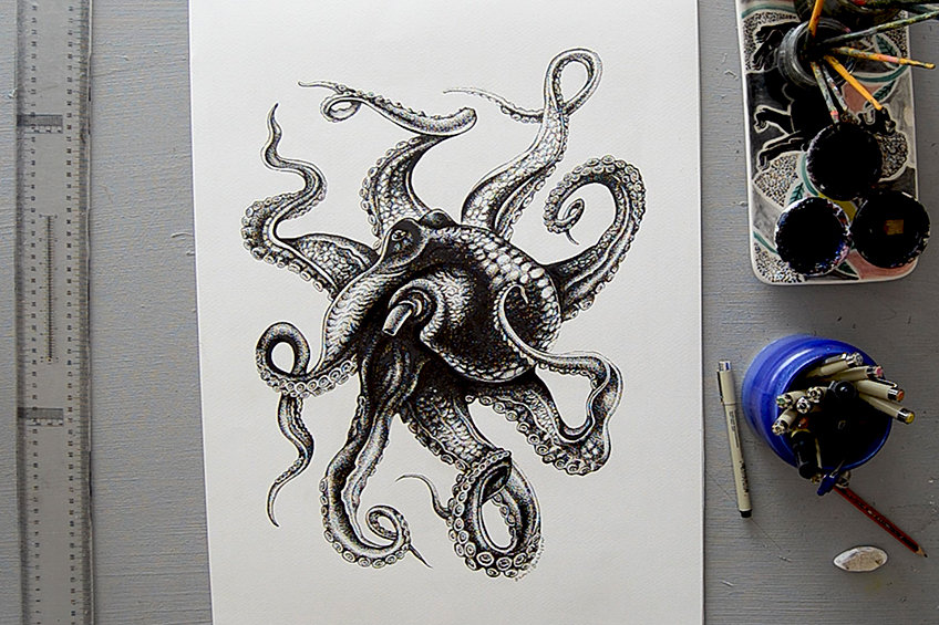 Octopus Drawing 14