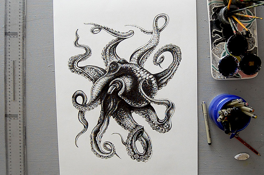 simple octopus drawing