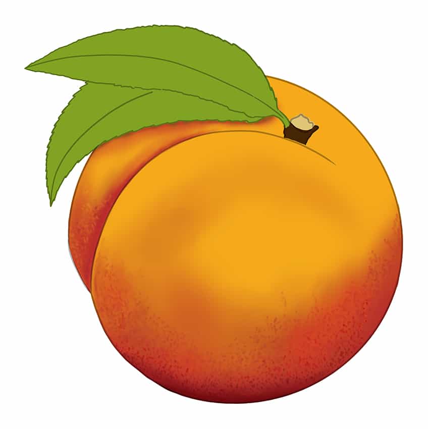 Peach Drawing 8