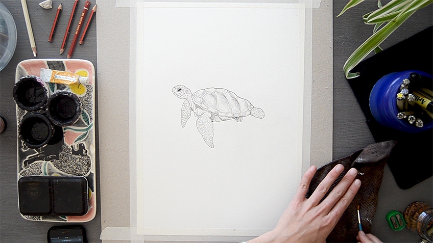 Sea Turtle Drawing 18