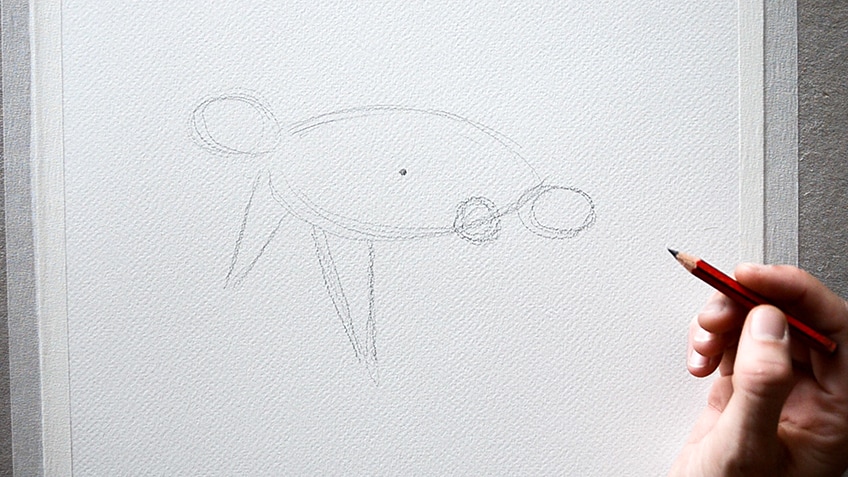Sea Turtle Drawing 4