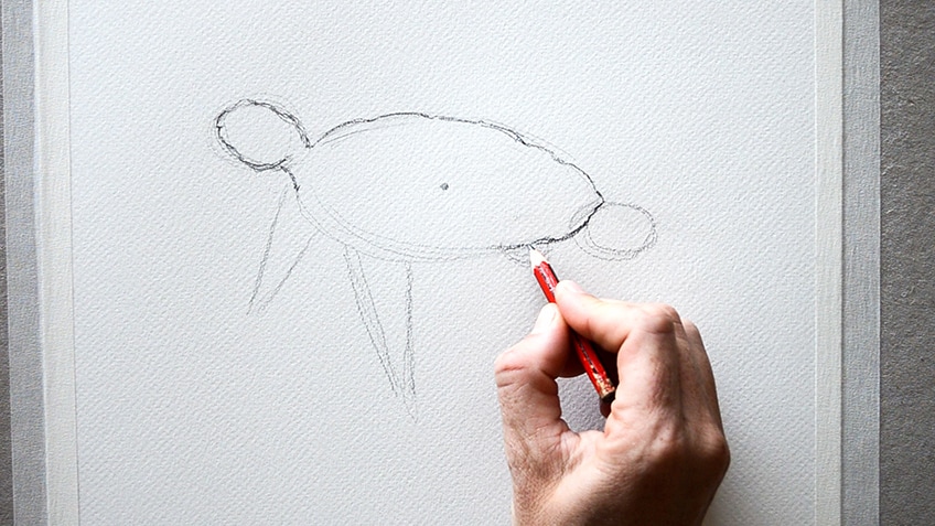 Sea Turtle Drawing 5