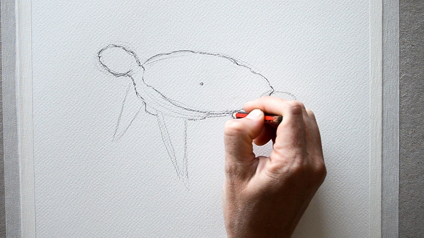 Sea Turtle Drawing 6