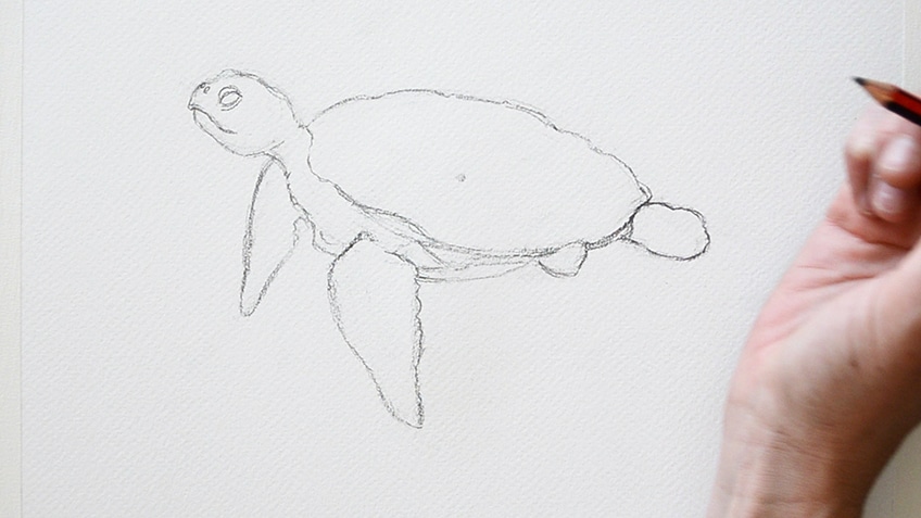 how to draw a sea turtle step by step