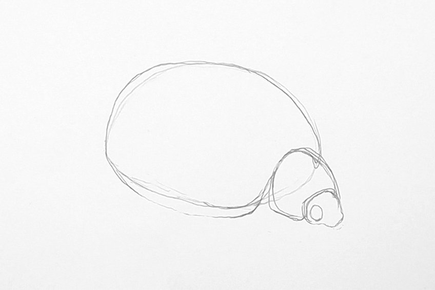 easy ladybug drawing 05
