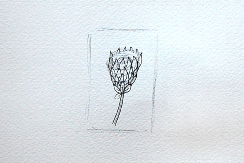 flower drawing 30
