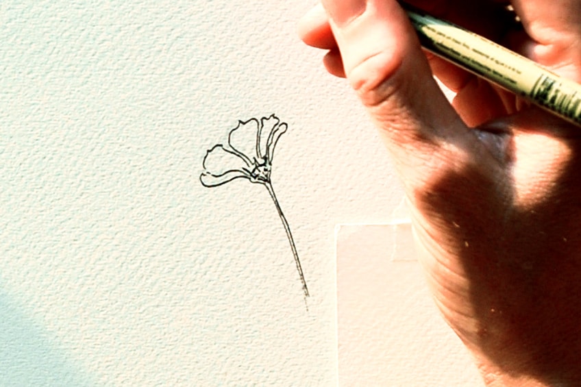 flower drawing 50