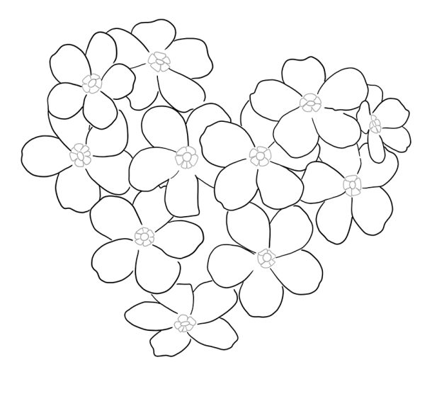 My Image 10