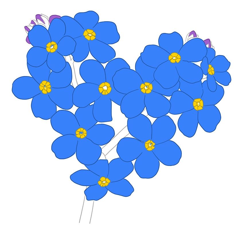 forget me not flower Drawing 6