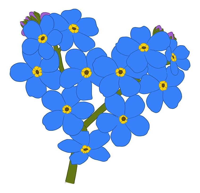 forget me not flower Drawing 8