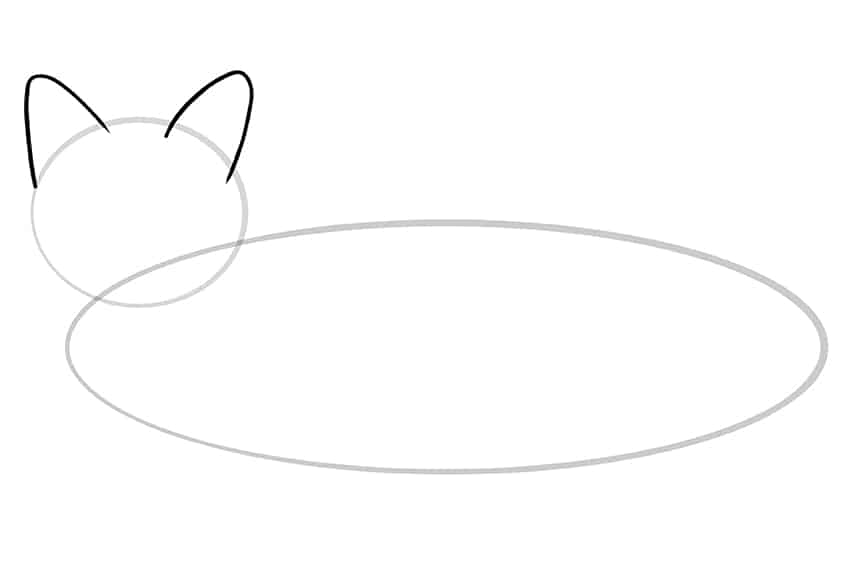 fox drawing 03