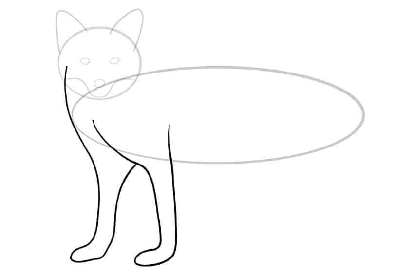 fox drawing 06