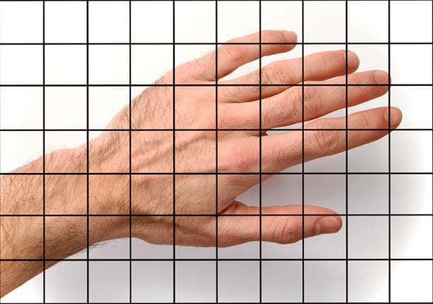 Drawing With a Grid - How to Use a Grid for Drawing Various Things