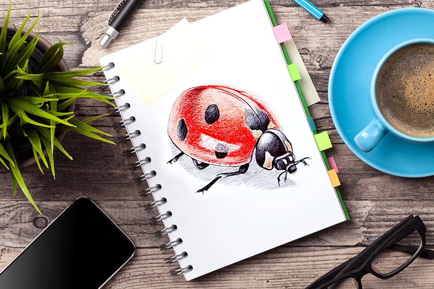 How to Draw a Ladybug - Easy Peasy and Fun