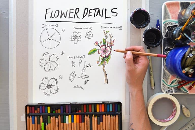 How to Draw Flowers – A Step-by-Step Guide for Simple Flower Drawings