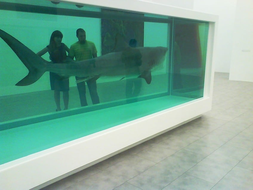 Damien Hirst and the Shark