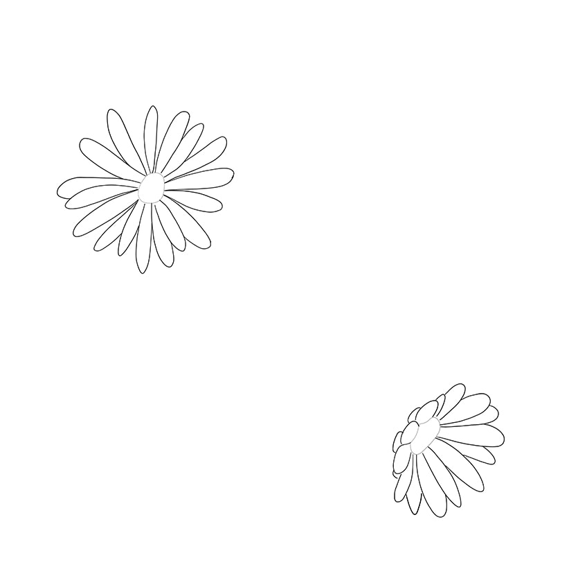 Aster flower drawing designs : Easy simple and beautiful drawing of Aster-saigonsouth.com.vn