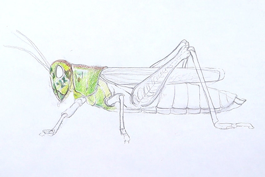Make a Grasshopper Sketch 16