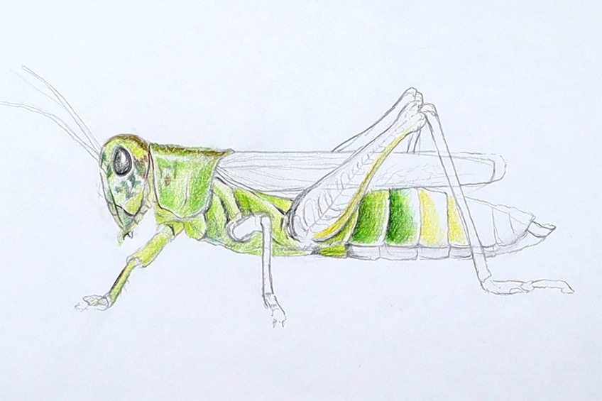 Make a Grasshopper Sketch 19