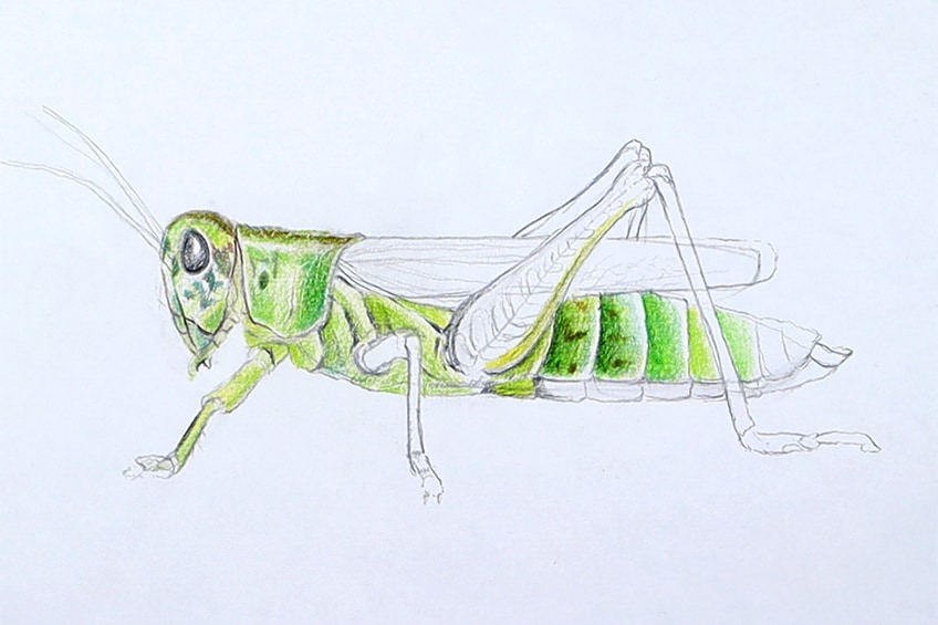 Make a Grasshopper Sketch 20