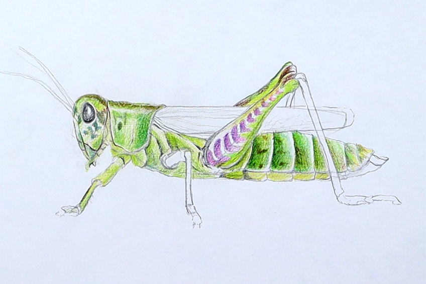 Make a Grasshopper Sketch 22